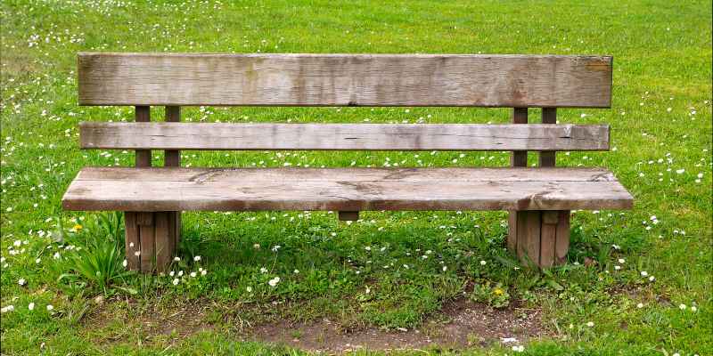 How to Build a Wood Slab Bench