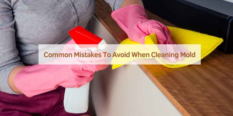 Common Mistakes To Avoid When Cleaning Mold