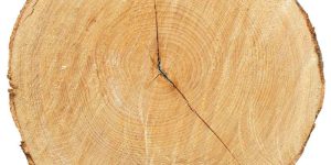 How to Flatten Slab Wood