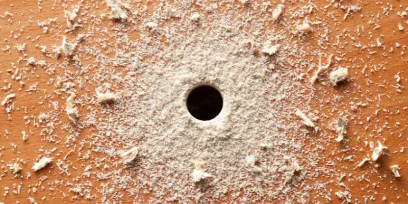 How to Patch a Hole in Plywood