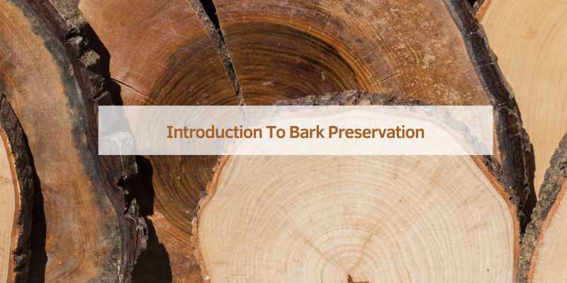 Introduction To Bark Preservation