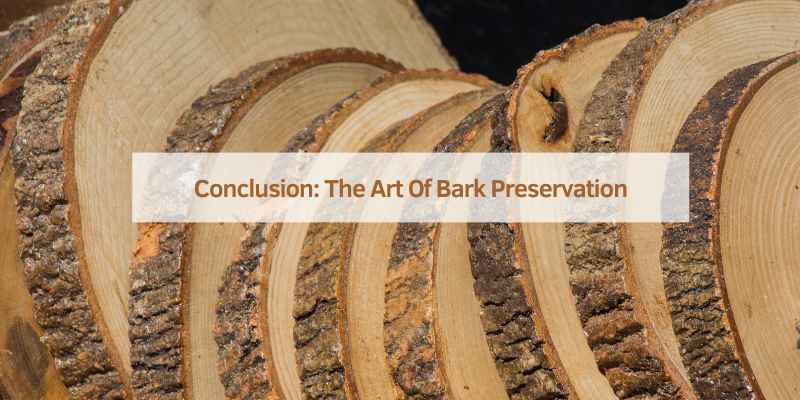 Conclusion: The Art Of Bark Preservation