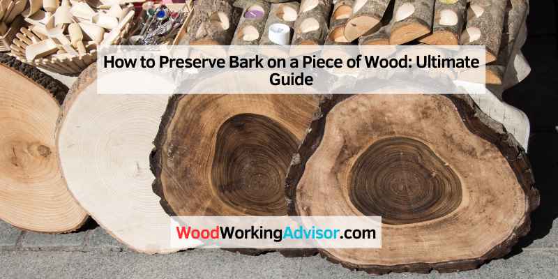 How to Preserve Bark on a Piece of Wood