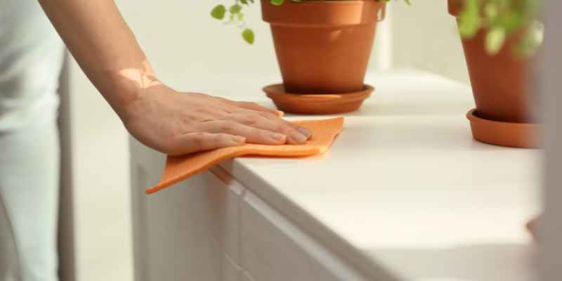 How to Remove Cat Urine from Wood Furniture