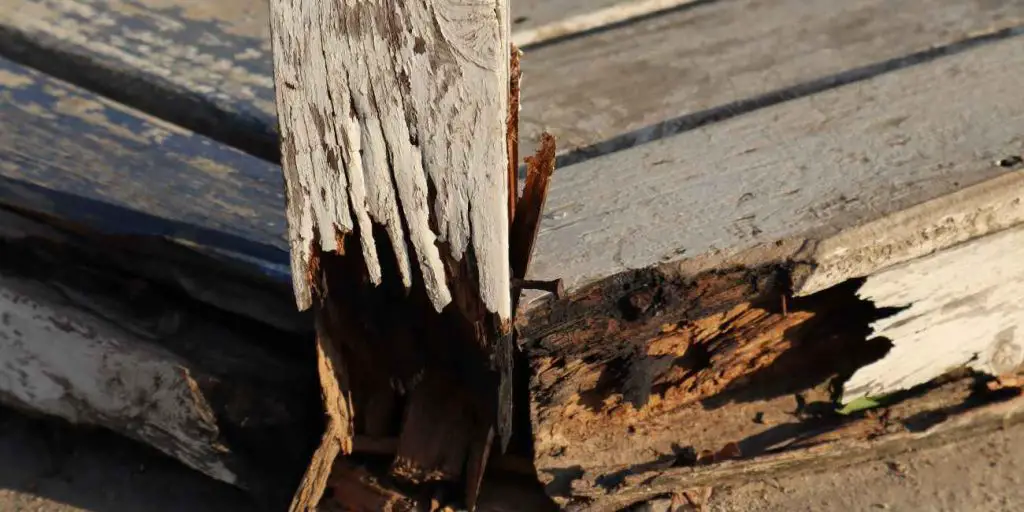 How to Repair Rotten Wood