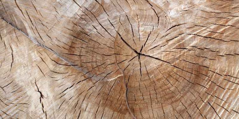 How to Stop Wood Cracks from Spreading: Expert Tips