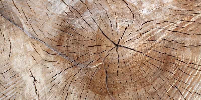 How to Stop Wood Cracks from Spreading