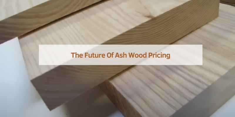 The Future Of Ash Wood Pricing