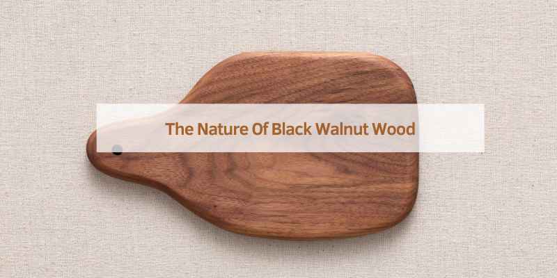 The Nature Of Black Walnut Wood