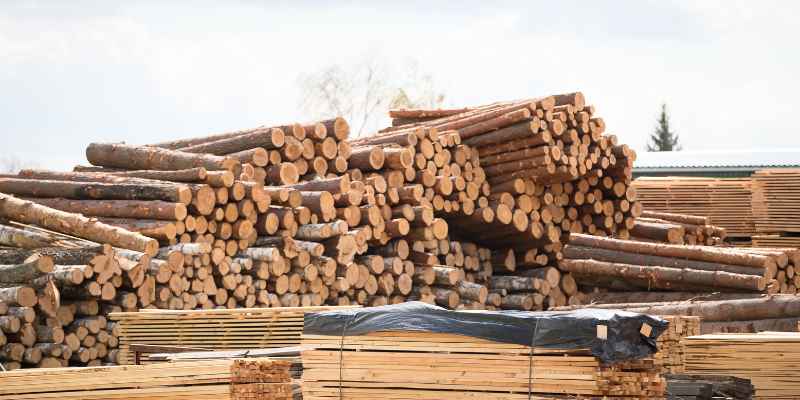 Is Cypress Wood Good for Furniture