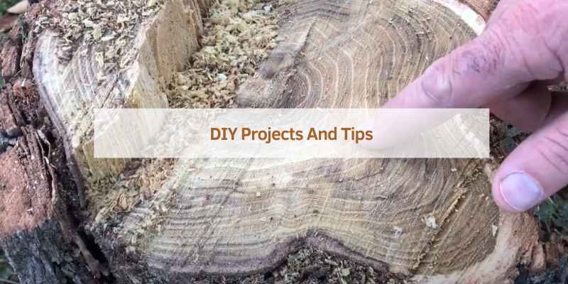 DIY Projects And Tips