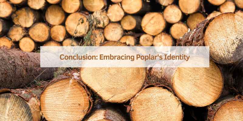 Conclusion: Embracing Poplar's Identity