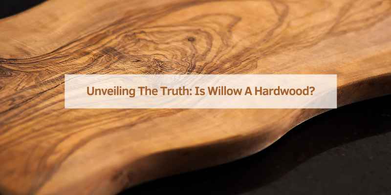 Is Willow a Hardwood? Unveiling the Truth