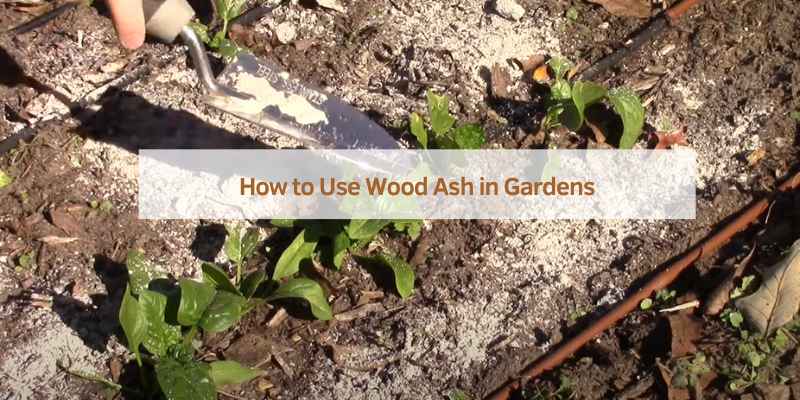 How to Use Wood Ash in Gardens