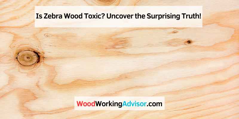 Is Zebra Wood Toxic