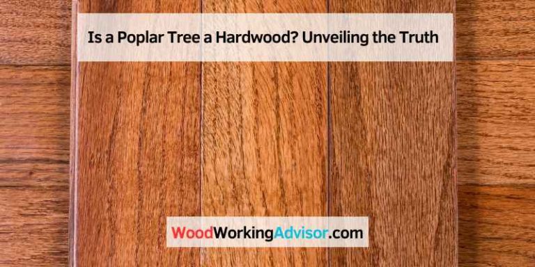 Is a Poplar Tree a Hardwood? Unveiling the Truth