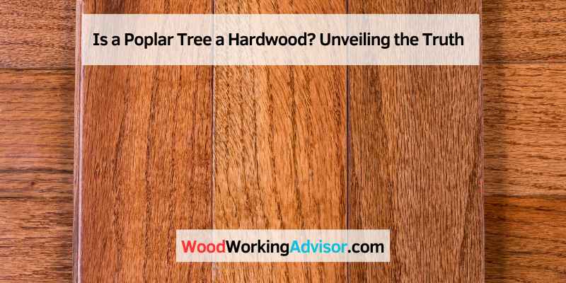 Is a Poplar Tree a Hardwood