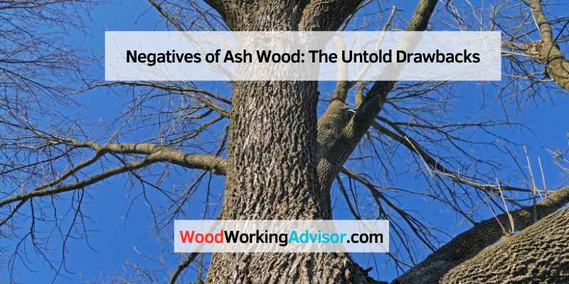 Negatives of Ash Wood