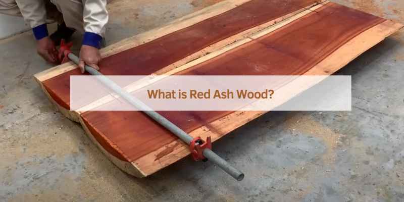What is Red Ash Wood?