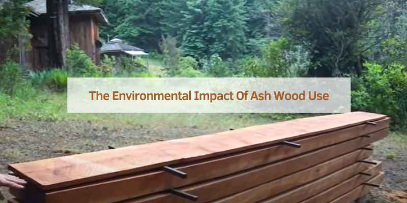 The Environmental Impact Of Ash Wood Use