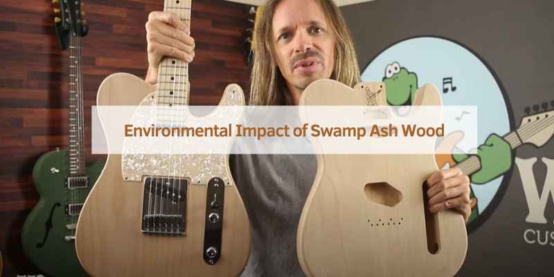 Environmental Impact of Swamp Ash Wood