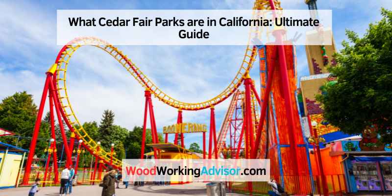 What Cedar Fair Parks are in California