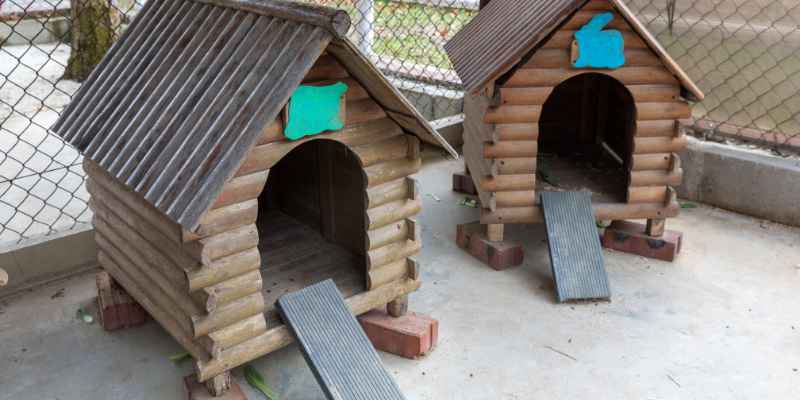 What Paint is Safe for Rabbit Hutches