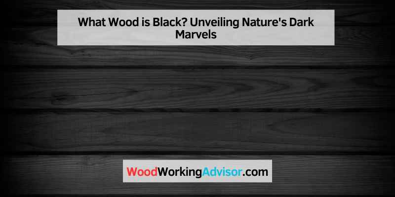 What Wood is Black