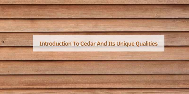 Introduction To Cedar And Its Unique Qualities