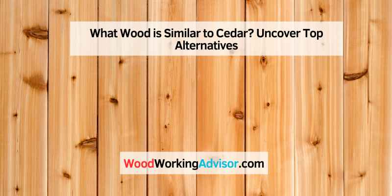 What Wood is Similar to Cedar