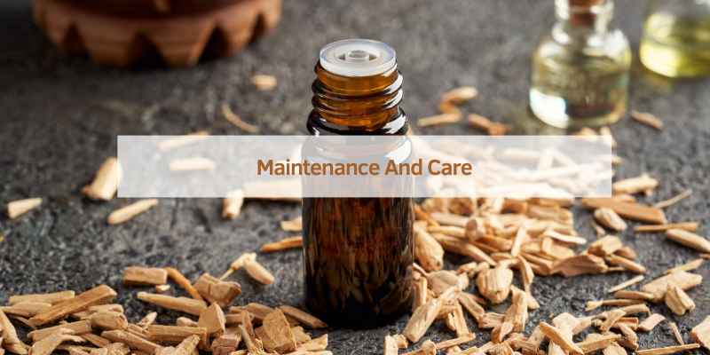 Maintenance And Care