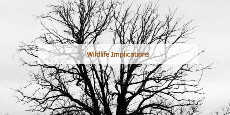 Wildlife Implications