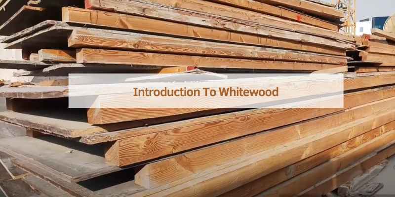 Introduction To Whitewood