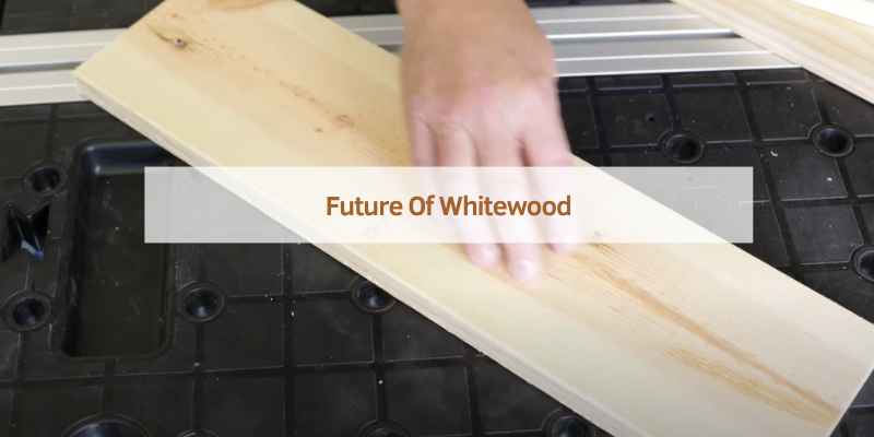 Future Of Whitewood
