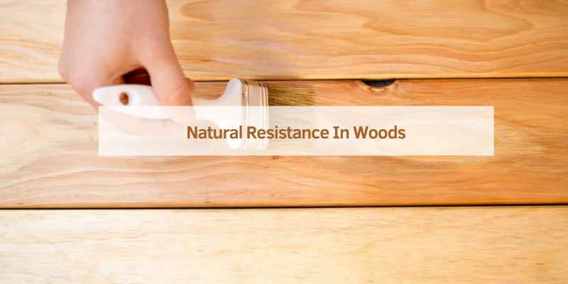 Natural Resistance In Woods