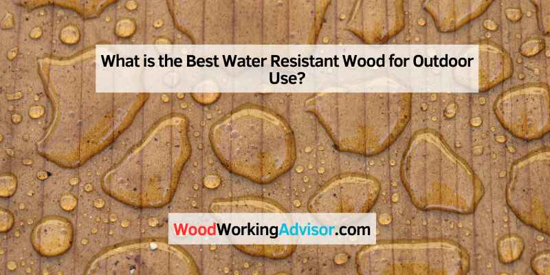 What is the Best Water Resistant Wood