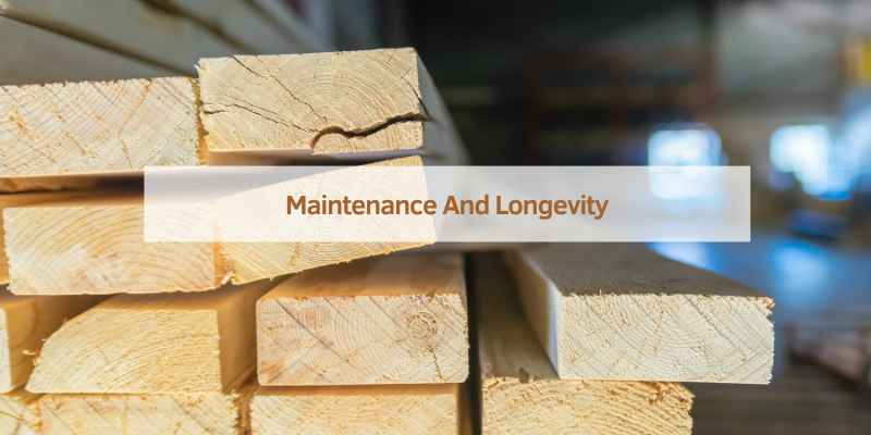 Maintenance And Longevity