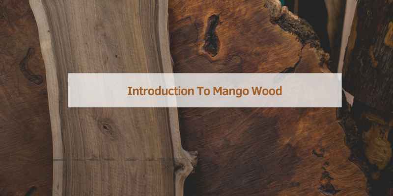 Introduction To Mango Wood