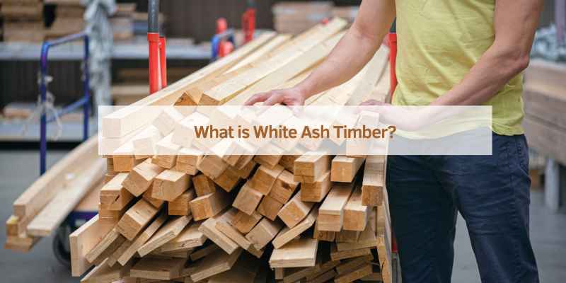 What is White Ash Timber?