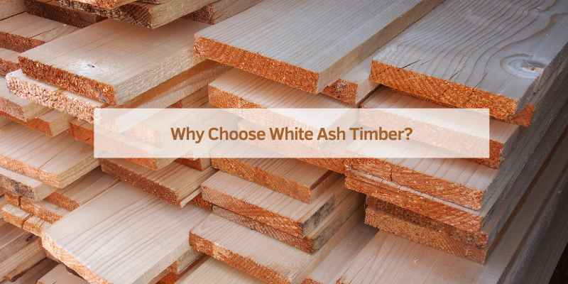 Why Choose White Ash Timber?