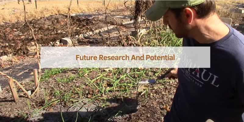Future Research And Potential