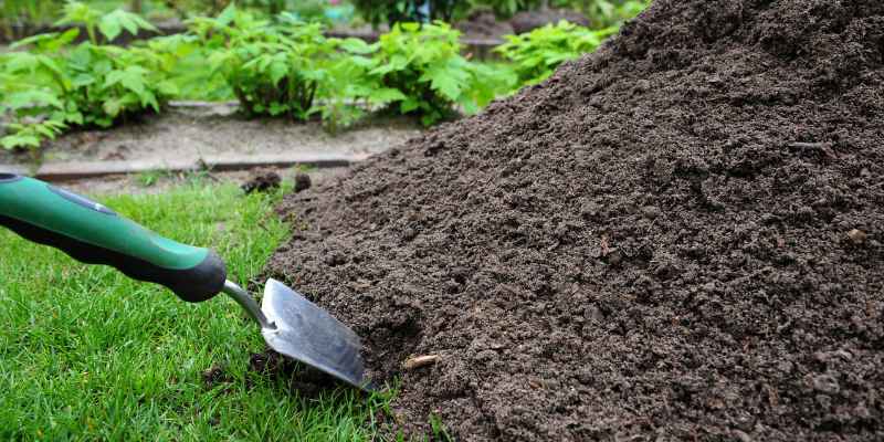 Wood Ash on Compost