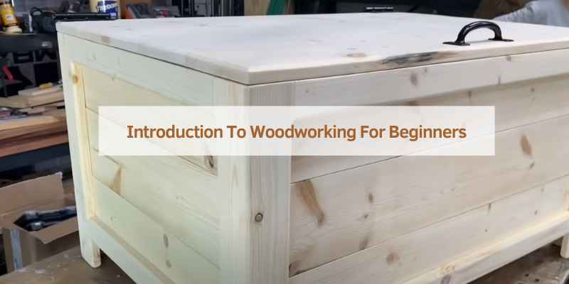 Introduction To Woodworking For Beginners