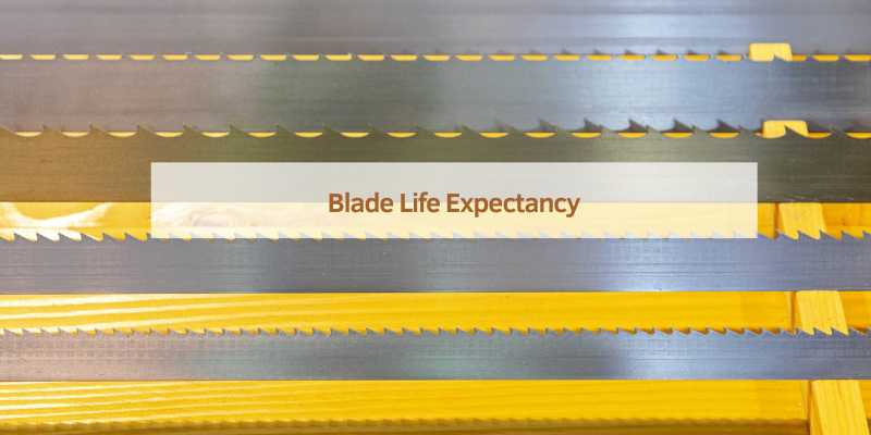 Blade Life Expectancy
