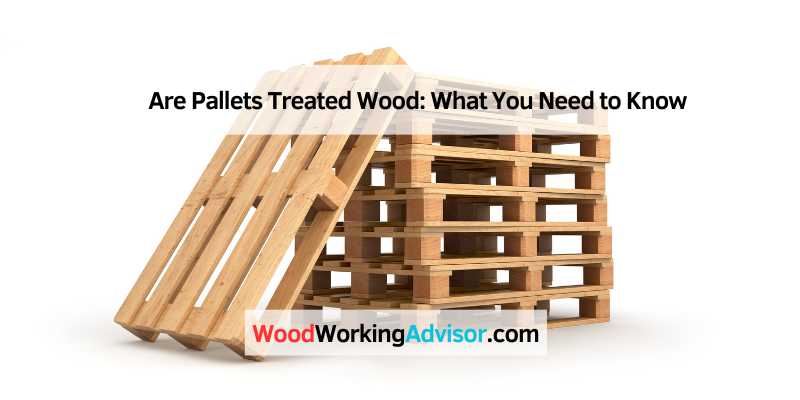 Are Pallets Treated Wood: What You Need to Know