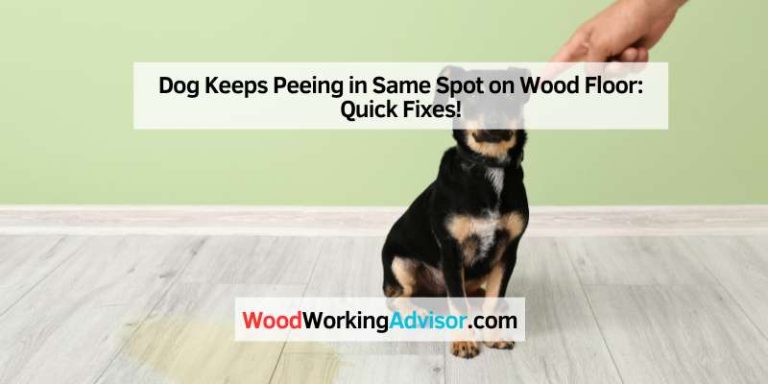 Dog Keeps Peeing in Same Spot on Wood Floor