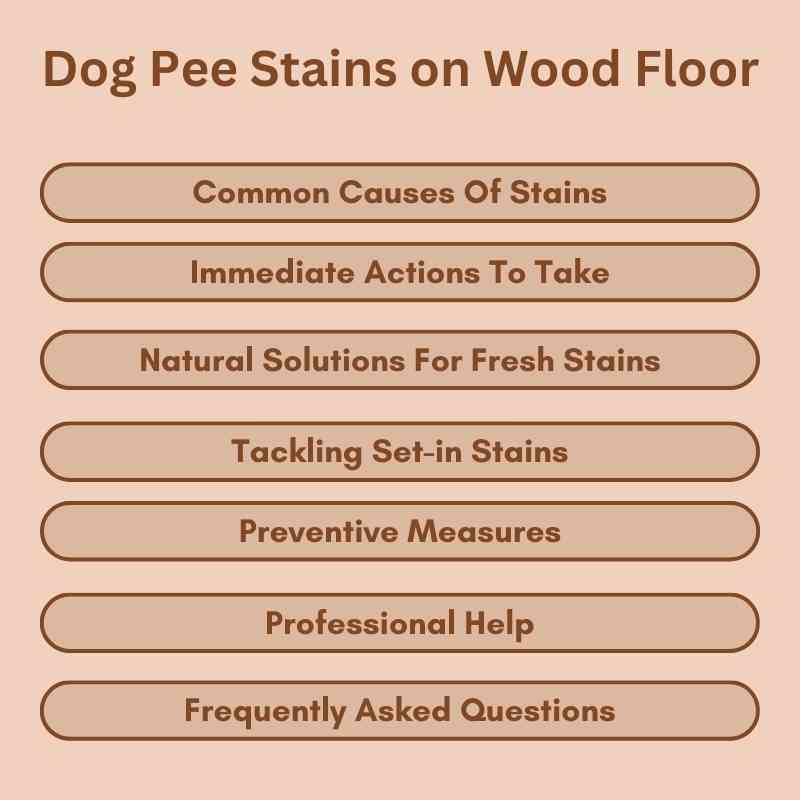 Dog Pee Stains on Wood Floor