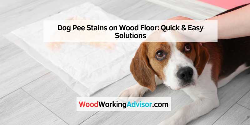 Dog Pee Stains on Wood Floor