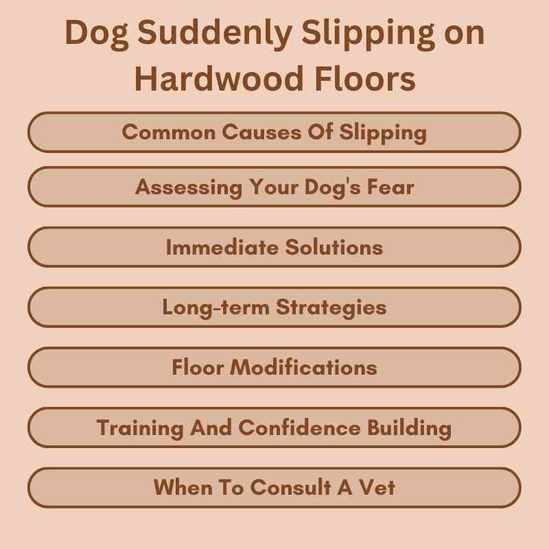 Dog Suddenly Slipping on Hardwood Floors