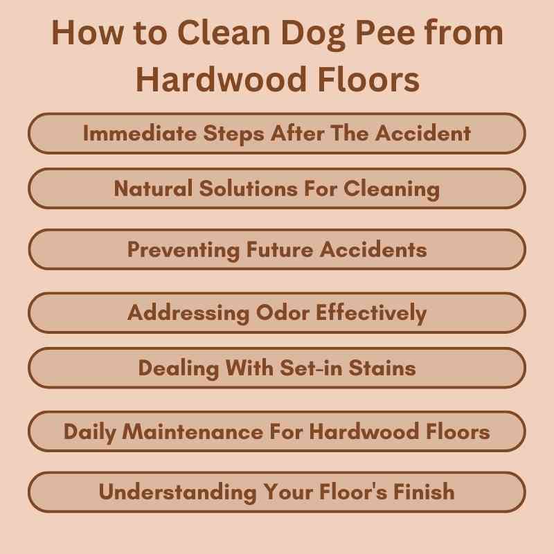 How to Clean Dog Pee from Hardwood Floors
